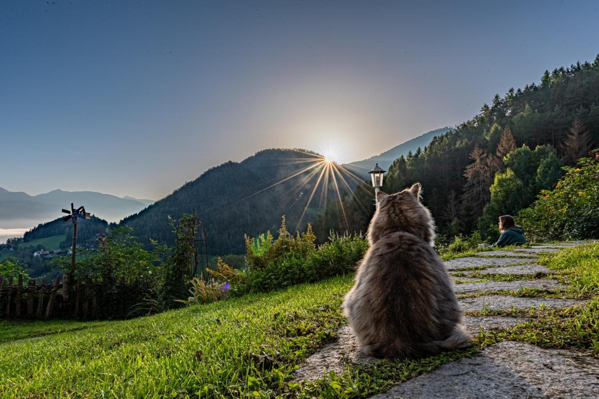 Natur Deluxe Riesen Sankt Lorenzen Exterior foto