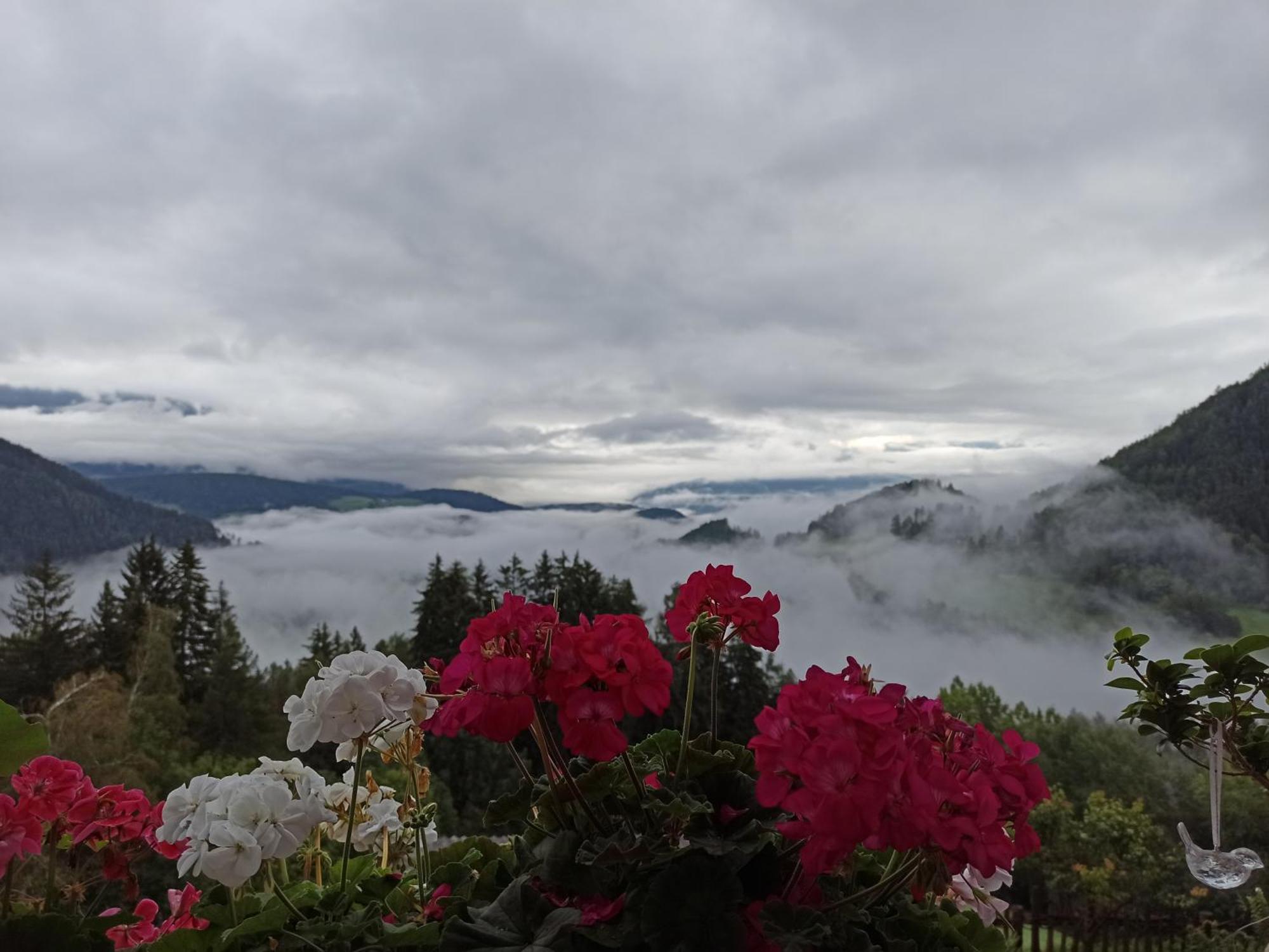 Natur Deluxe Riesen Sankt Lorenzen Zimmer foto